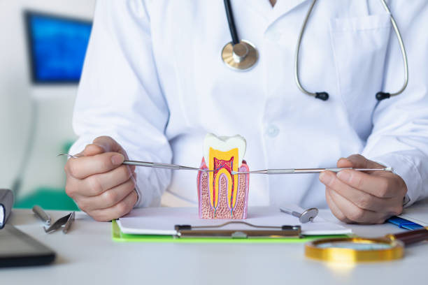 Best Emergency Tooth Extraction  in Brownsville, FL